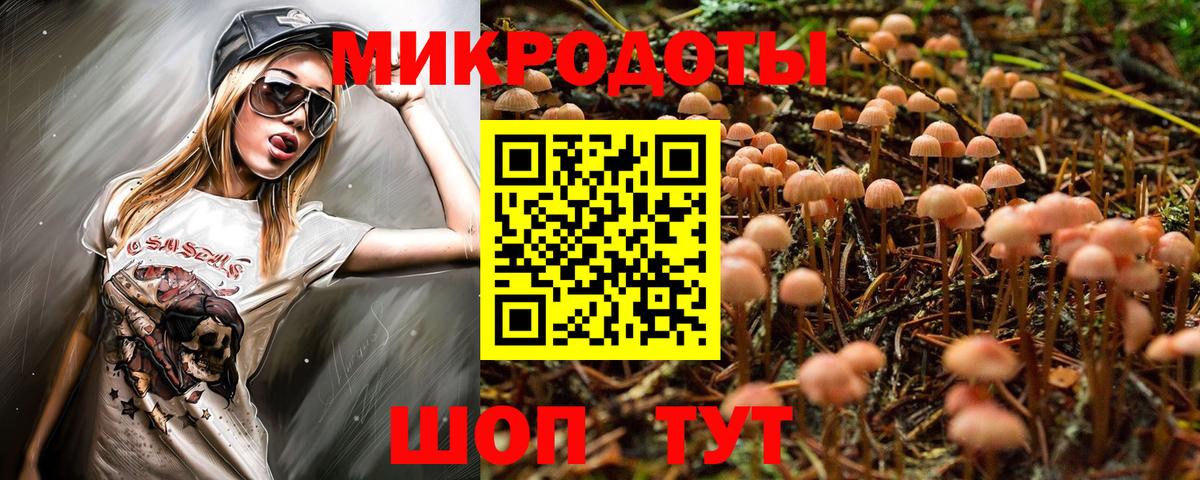 Галлюциногенные грибы Cubensis Ноябрьск