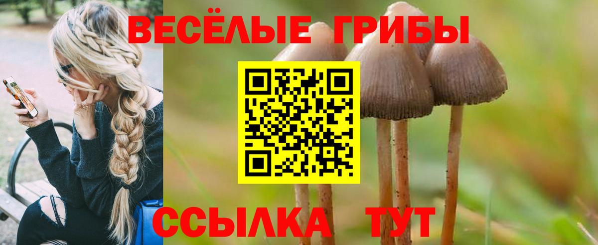 цена наркотик  Псилоцибиновые грибы ЛСД  Вход с VPN  Ноябрьск 